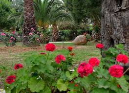 CNic Gemini Hotel 写真