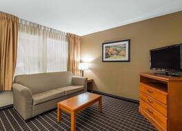 クオリティ イン & スイーツ セバービル - ピジョン フォージ 写真