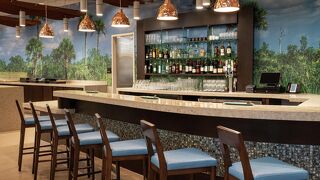 ダブルツリー バイ ヒルトン マイアミ ドラール