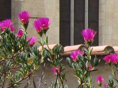 Hotel Meublè Santa Chiara Suite 写真