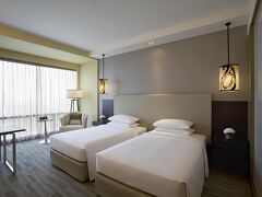 ハイアット リージェンシー アーメダバード 写真