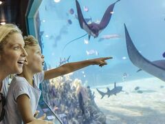 シー ワールド リゾート 写真