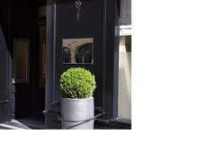 ホテル ル セナ 写真