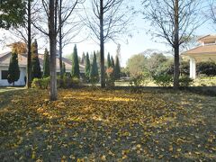 ジンリン リゾート ナンジン 写真