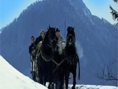 Familienhotel Felsenhof 写真