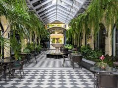 ザ スコソル 写真