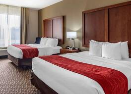 コンフォート イン & スイーツ アトカ - ミリントン 写真