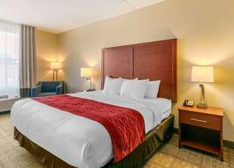 コンフォート イン & スイーツ ナッシュビル フランクリン クール スプリングス 写真