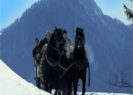 Familienhotel Felsenhof 写真