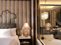 Wanda Reign Wuhan 写真