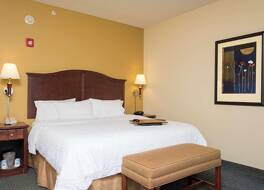 Hampton Inn & Suites Indianapolis-Airport 写真