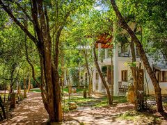 アマーラ フォレスト ホテル シギリヤ 写真