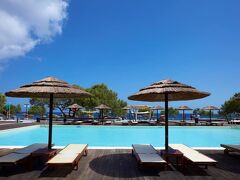 ブラック ローズ スイーツ 写真