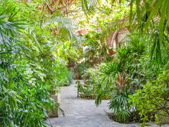 トロピカ バンガロー ホテル 写真