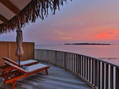 シナモン ドンヴェリ モルディブ 写真