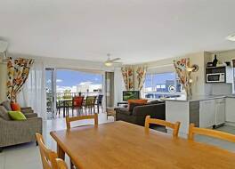 ザ ビーチ ハウジーズ コットン ツリー 写真