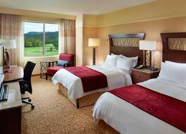 メドービュー コンファレンス リゾート&コンベンション センター 写真