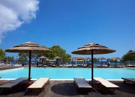 ブラック ローズ スイーツ 写真