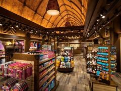 ディズニー エクスプローラーズ ロッジ 写真