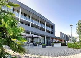 ゴールデン チューリップ ポルニック 写真