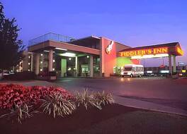 フィドラーズ イン 写真