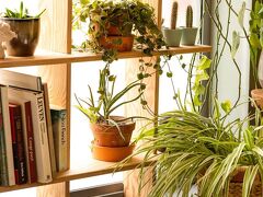 イビス ルーベン セントラム 写真