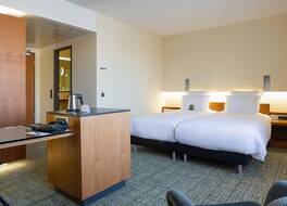 プルマン アイントホーヴェン コカーニュ 写真