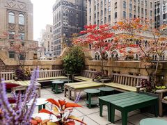 ライブラリー ホテル 写真