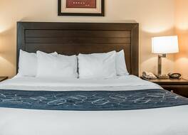 コンフォート スイーツ サウス ベンド、カジノの近く 写真