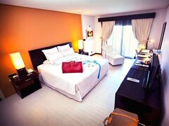 サンダーバード リゾーツ ポロ ポイント 写真