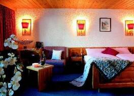 Hôtel Alpina - Swiss Ski & Bike Lodge Grimentz 写真