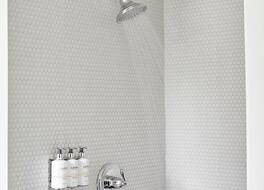 ブラインド タイガー バーリントン 写真