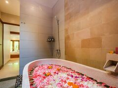 プリ コボット 写真