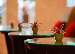 ゲホワ ニュー センチュリー ホテル ペキン 写真