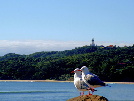 バイロン ベイ サイド セントラル スタジオ アパートメンツ 写真