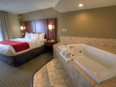 コンフォート イン & スイーツ ロシェル - デカルブ 写真