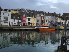 The Rosefield 写真