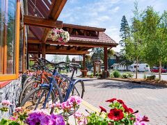 バンフ ターミガン イン 写真