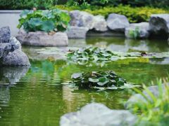 ホリデイ イン エクスプレス 鄭州 鄭東 by IHG (鄭州鄭東智選假日酒店) 写真