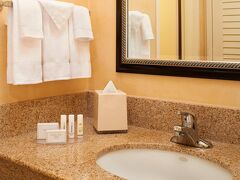 Courtyard by Marriott Chicago Arlington Heights/South 写真
