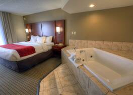 コンフォート イン & スイーツ ロシェル - デカルブ 写真