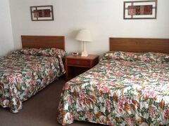 サファリ モーテル 写真