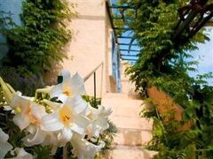 CHC コルヴィナ ビーチ ホテル 写真