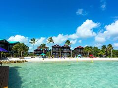 X'tan Ha- The Waterfront 写真