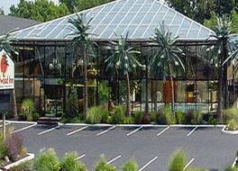 ワイルドウッド イン トロピカル ドーム & テーマ スイーツ