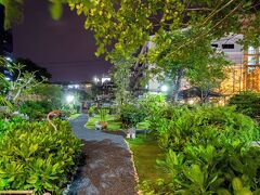 サバイ サバナ 写真