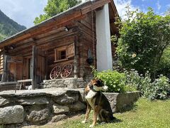 シャレードルフ エッガーフェルト 写真