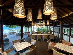 モロ マ ドト 写真