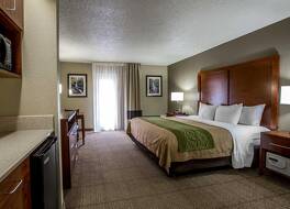 コンフォート イン & スイーツ アット ドリーウッド レーン 写真