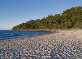 アト ザ サウンド アパートメンツ 写真